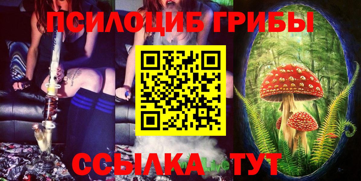 Галлюциногенные грибы GOLDEN TEACHER  Вход с VPN  Галлюциногенные грибы мухоморы  Камень-на-Оби 