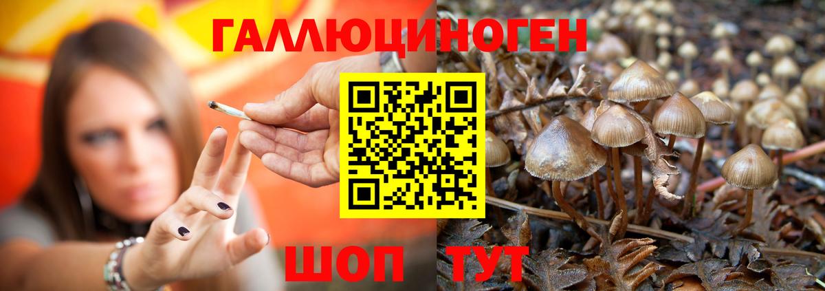Гашиш Камень-на-Оби